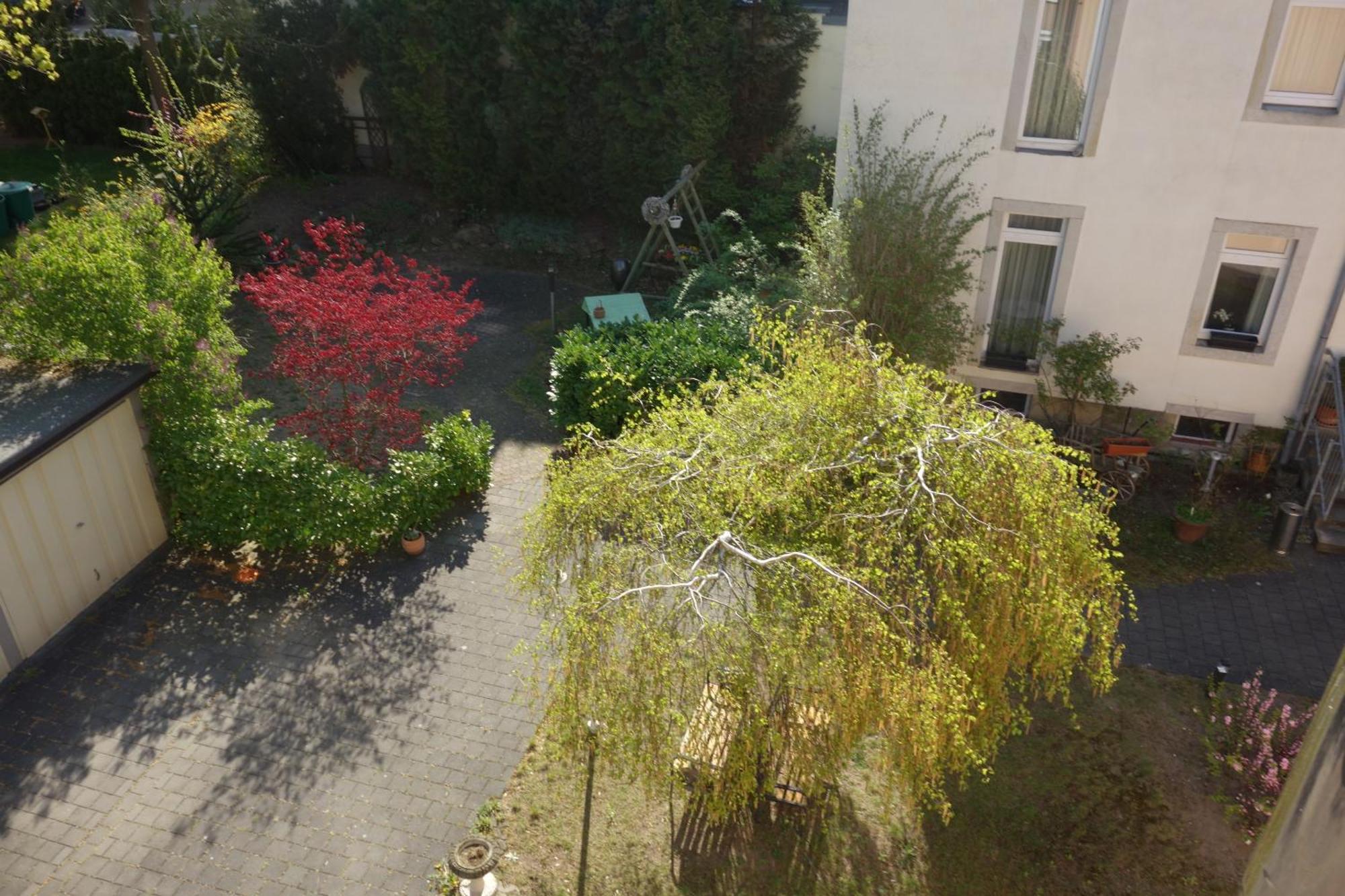 Apartments Und Zimmer Gaestehaus Matthias Drážďany Pokoj fotografie